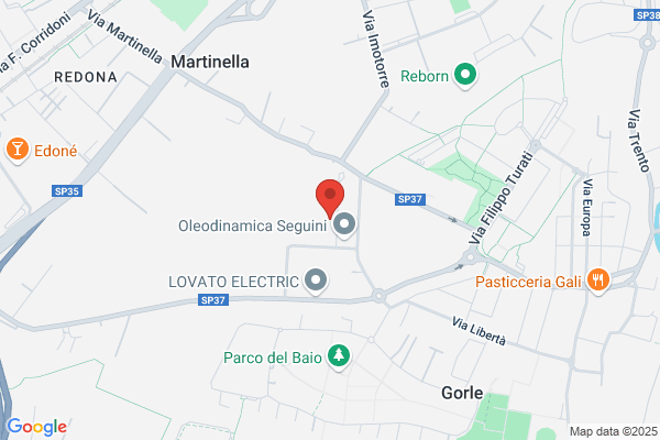 Gamma Electric Di Truisi Franco