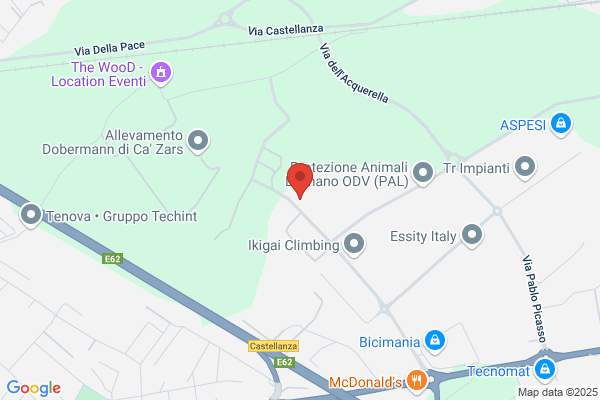 Gruppo Edicart Srl