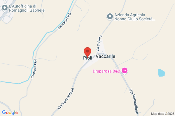Pioli dino