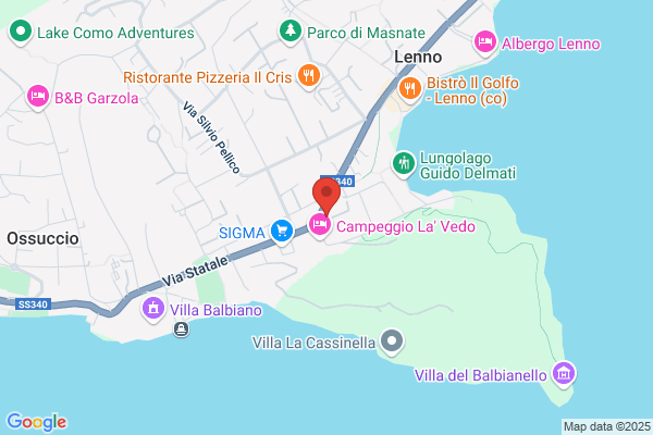 Dino Market