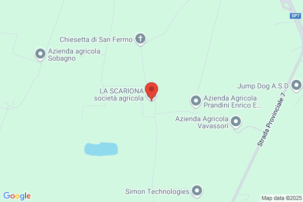 Serpelloni Giuseppe & C.