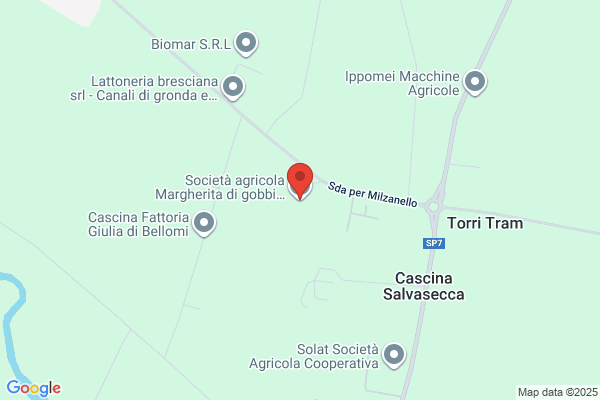 Gobbi Raffaella