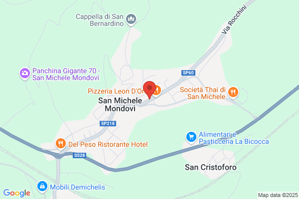 Fiori e Piante