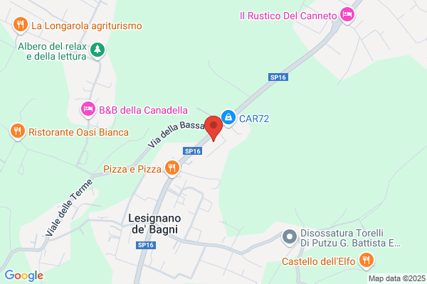 Gelmini Antonio