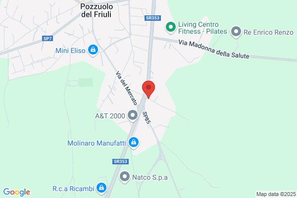 Chizzolini Livio