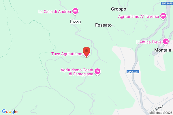 Tuvo franca