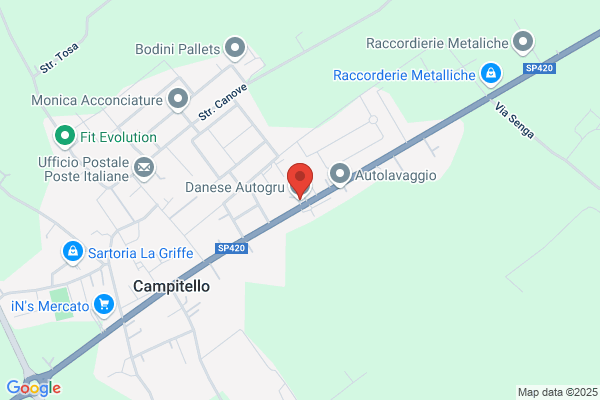 Danese Autogru Srl