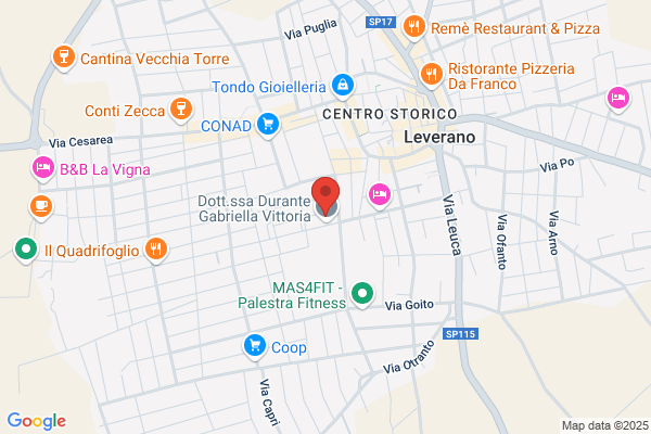 Noleggio Autobus Cirfeda Viaggi