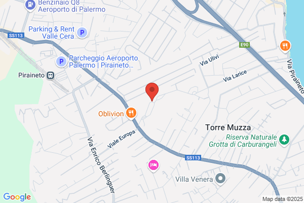Tecnoservice Siciliana