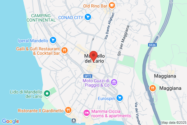 Lafranconi Paola