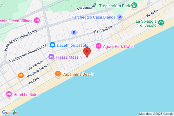 Hotel Nettuno Srl