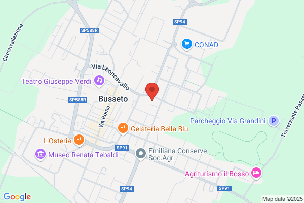 Taxi Busetto marina