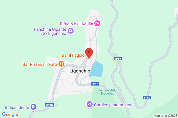 Bar Pizzeria Il Faggio