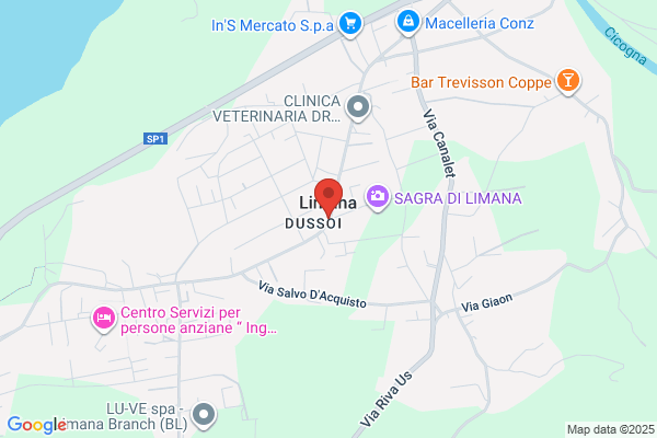 Al Neta Camin Spazzacamino