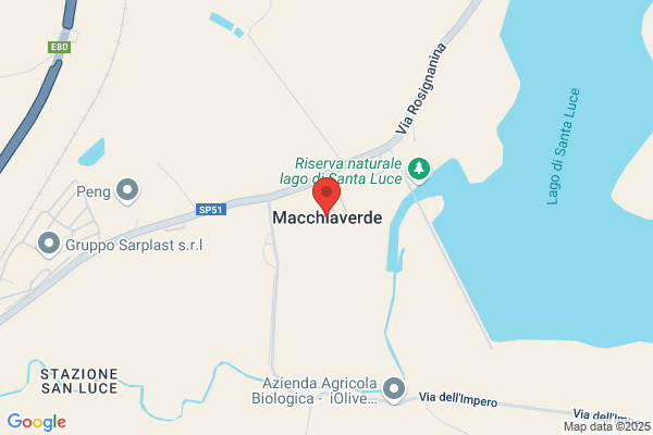 Macchia Verde Di Radice Michela
