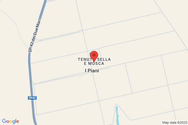 Siriodental Di Monticelli E Mosca