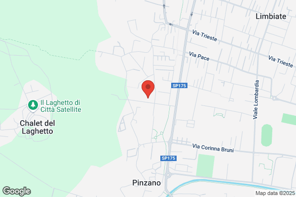 Mistema Di Uccelli M. Cavozza S. E bozza M. (S.N.C.)