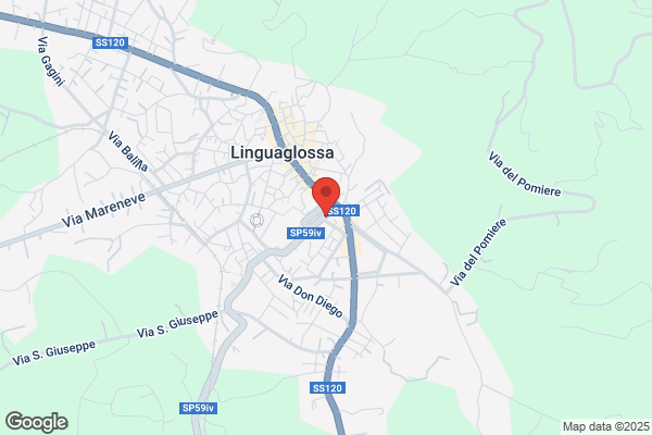 Lo Giudice rosaria