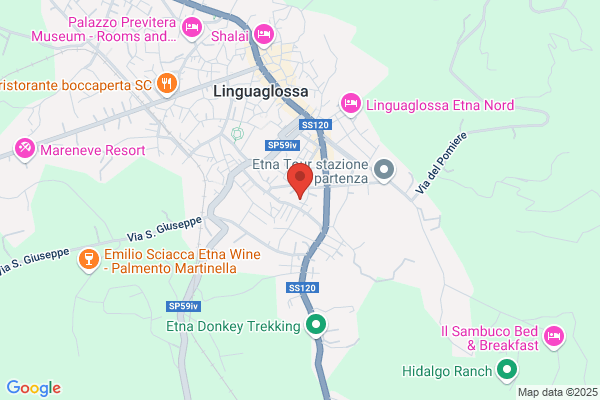 Serv.Turist.Etna Linguagl.Di F.Emmi & C.Snc