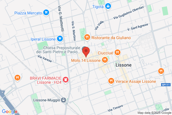Immobiliare Studio 81 S.A.S.