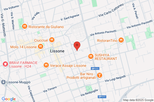 Lissoni giuseppe (Rag.)