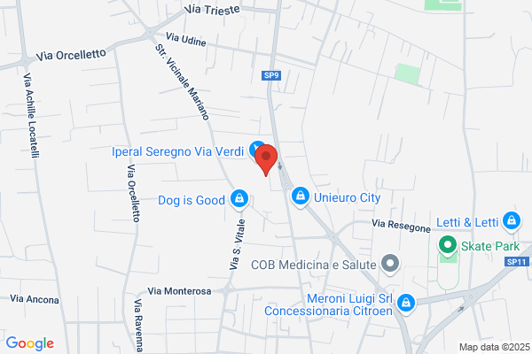 Arienti Autonoleggio Auto con Conducente Taxi Privato