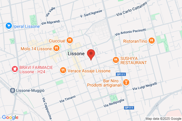 Fabbro Lissone - Cosco Service