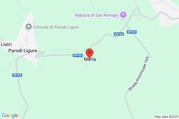 Merla angelo
