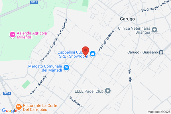 Lissone Carni S.R.L.