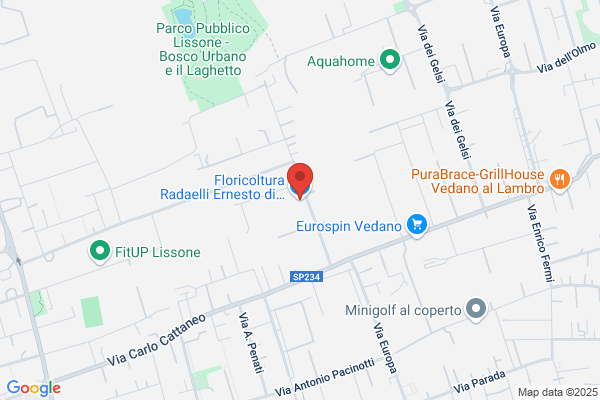 Radice Angelo E Paolo S.N.C.