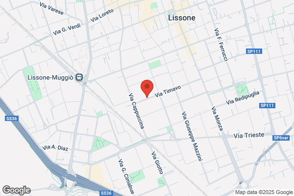 M.G.M. Sas Di Marzio Mariani