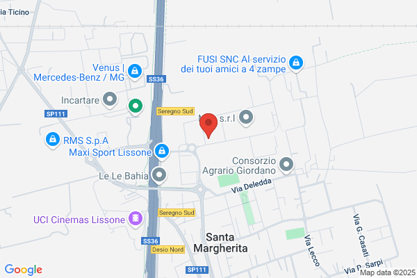 R.G.2 Di Riboldi E Giussani S.D.F.