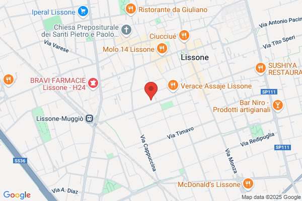 Manzotti guido