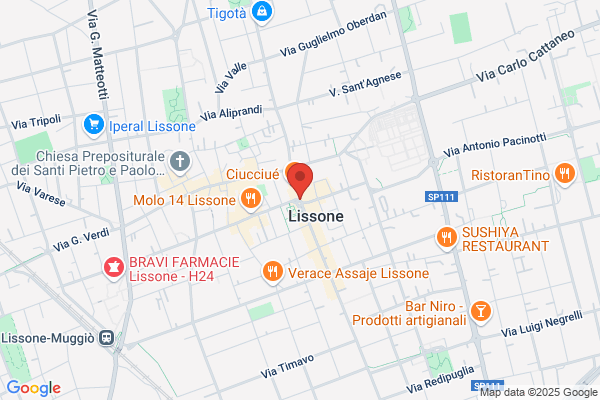 Lorenzoni silvana