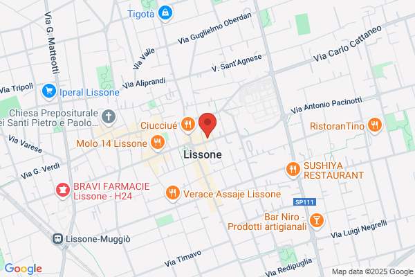 Autoscuola Maggiolini