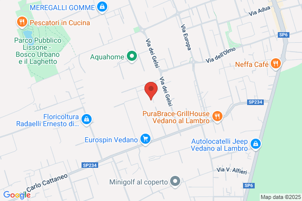 Gmc Instruments Italia S.R.L.