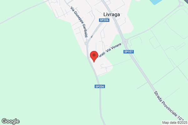 Il Discobolo