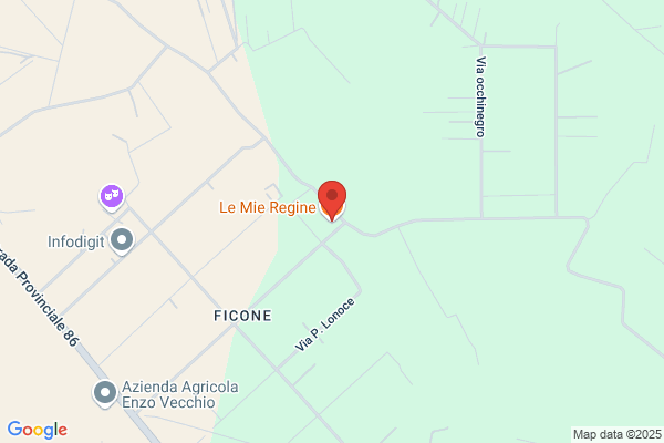 Le mie regine