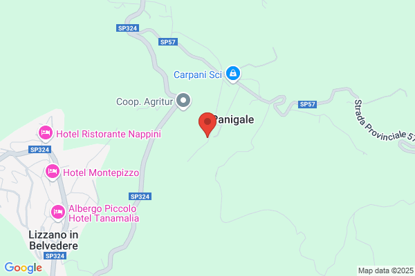 Carpani Ingranaggi Srl