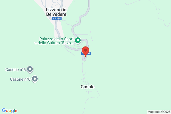 Mascagni paola