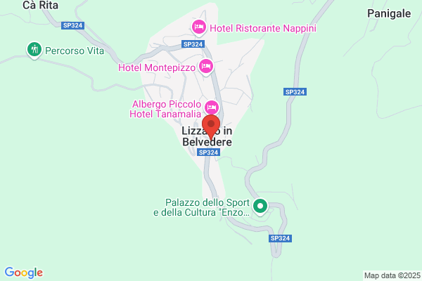 Polmonari renato (Ing.)