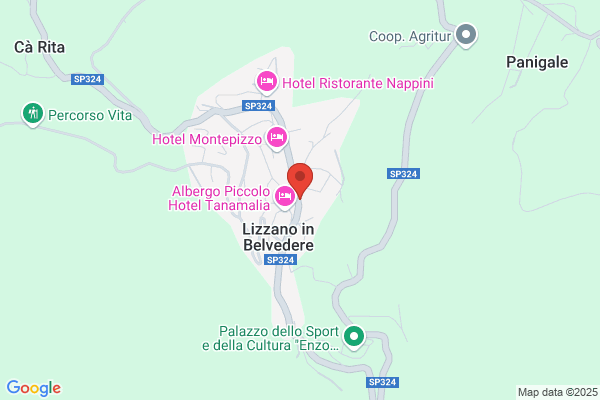 Ricci maurizio