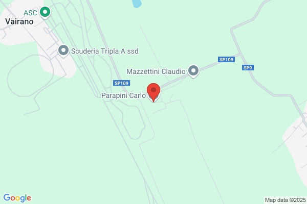 Parapini pietro