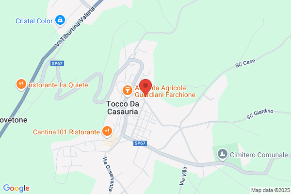 Terzini bruno