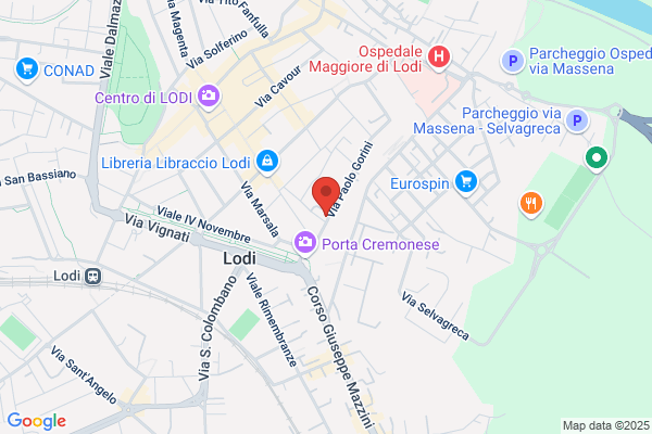 Municipio/Consigli Di Zona