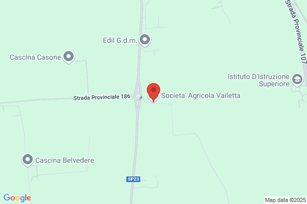 Vailati luigina
