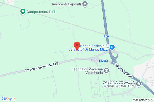Cf Trasporti Srl