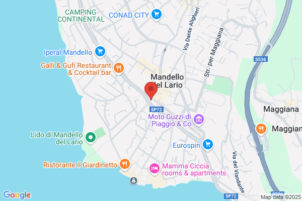 Angelo Guzzi
