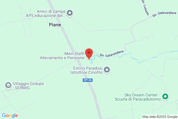 Mein Staffi  Allevamento e Pensione