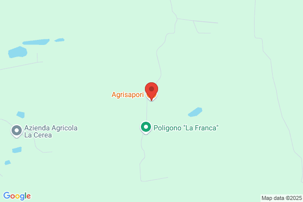 Agrisapori